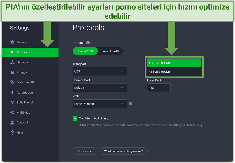 A screenshot showing how to switch encryption levels in the settings panel on the PIA app