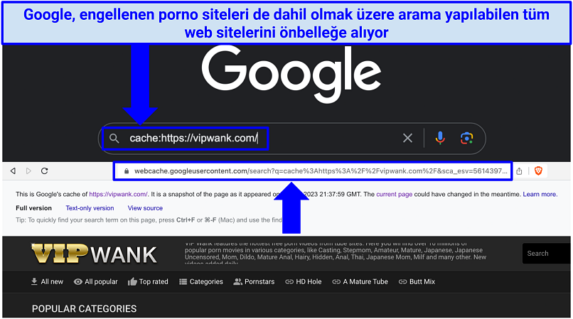 A screenshot showing how to use Google's Search Engine Cache to access blocked porn sites