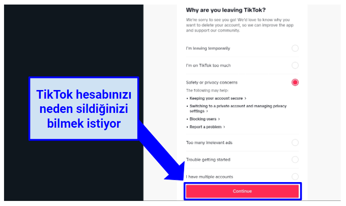 Screenshot of TikTok questionnaire before deletion