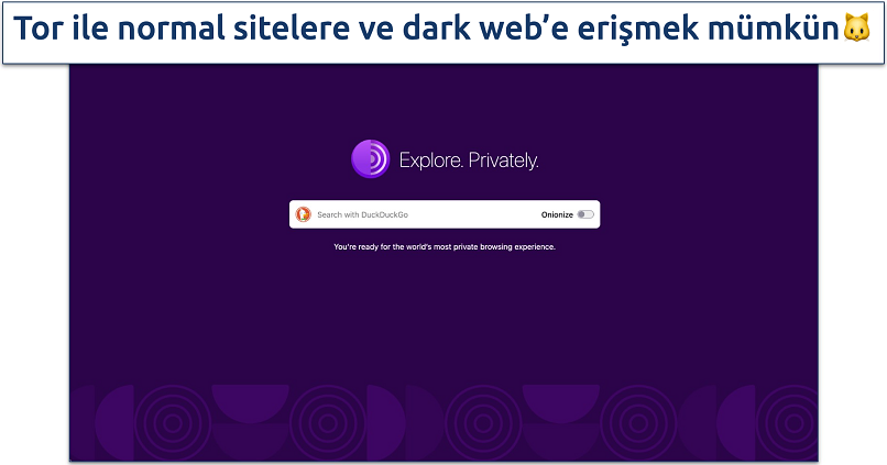 Screenshot of the Tor Browser homepage